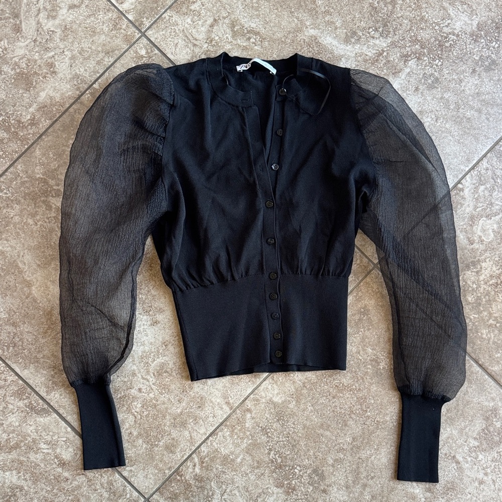 Zara Organza Puff Sleeve sweater
